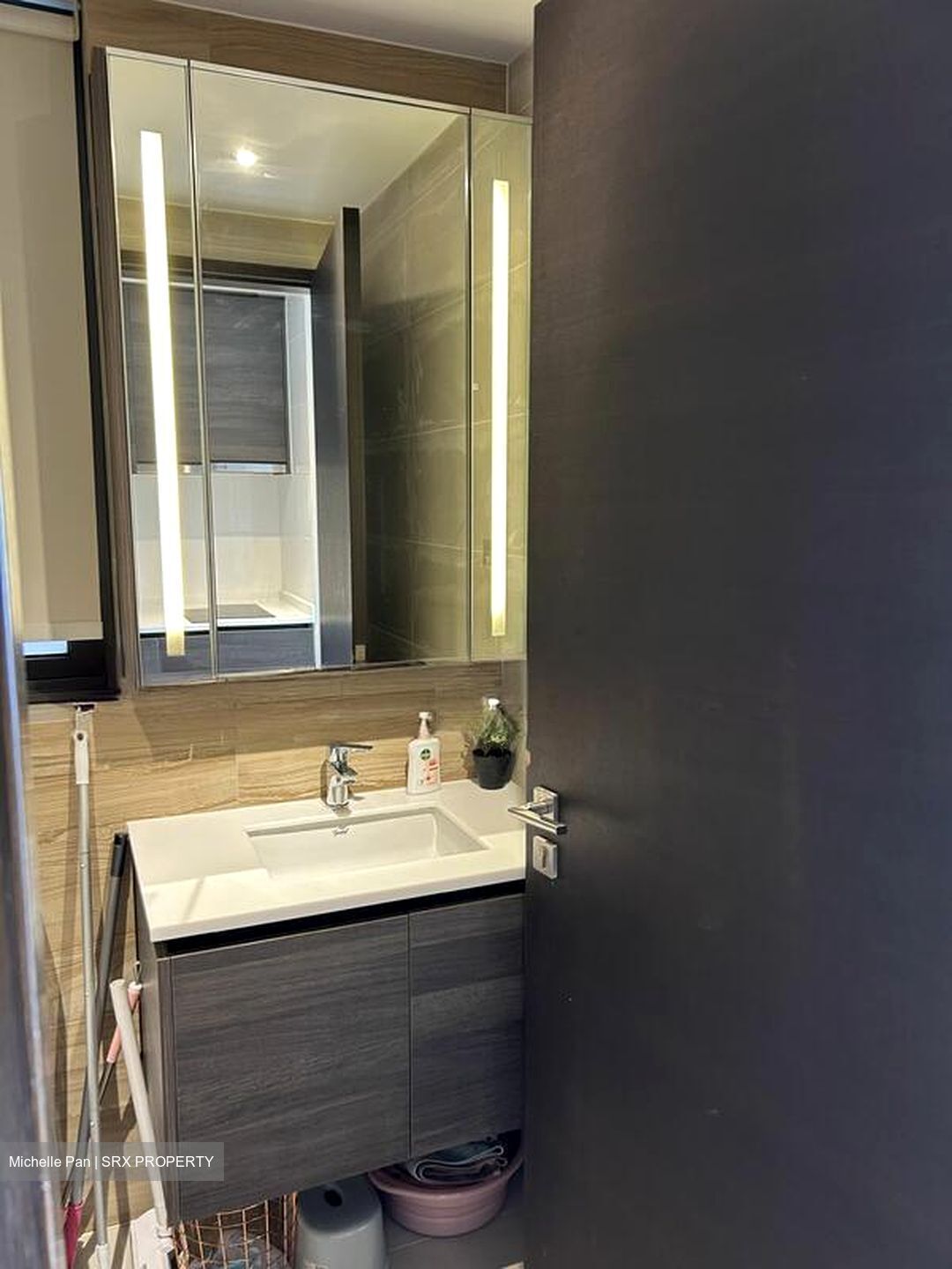 Sims Urban Oasis (D14), Condominium #503160821